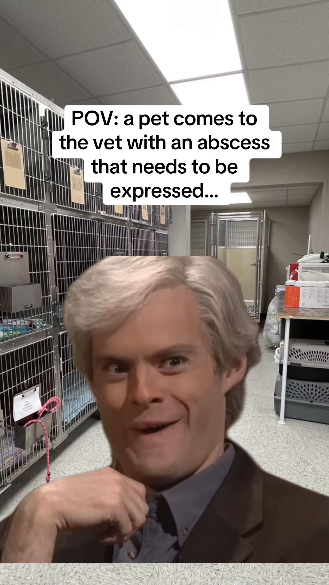 @Snodgrass Vet