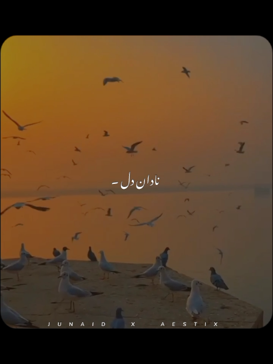 @𝙅𝙐𝙉𝘼𝙄𝘿 𝙓 𝘼𝙀𝙎𝙏𝙄𝙓