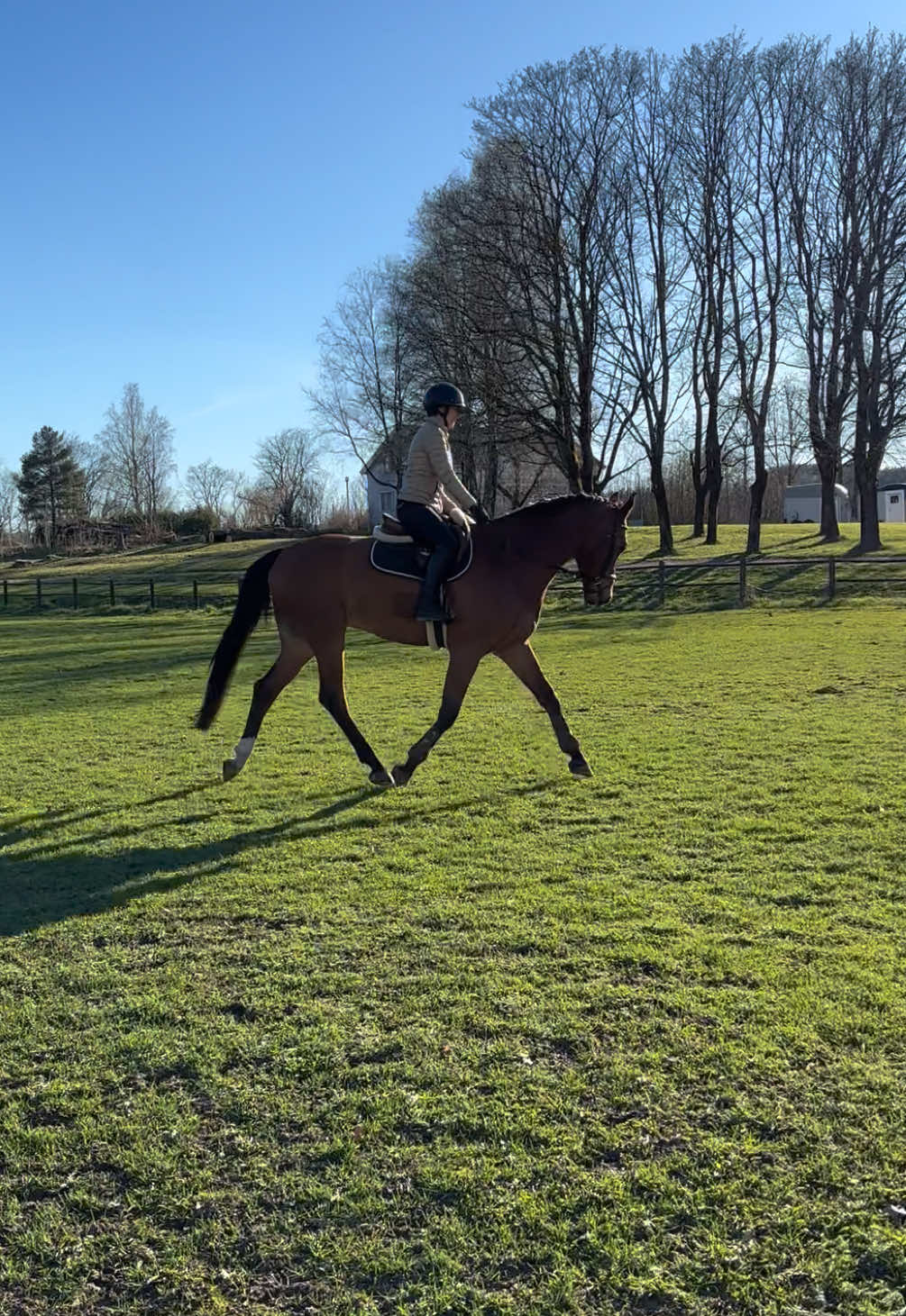 @hedda.equi