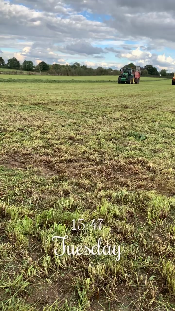 @Farmer Adam