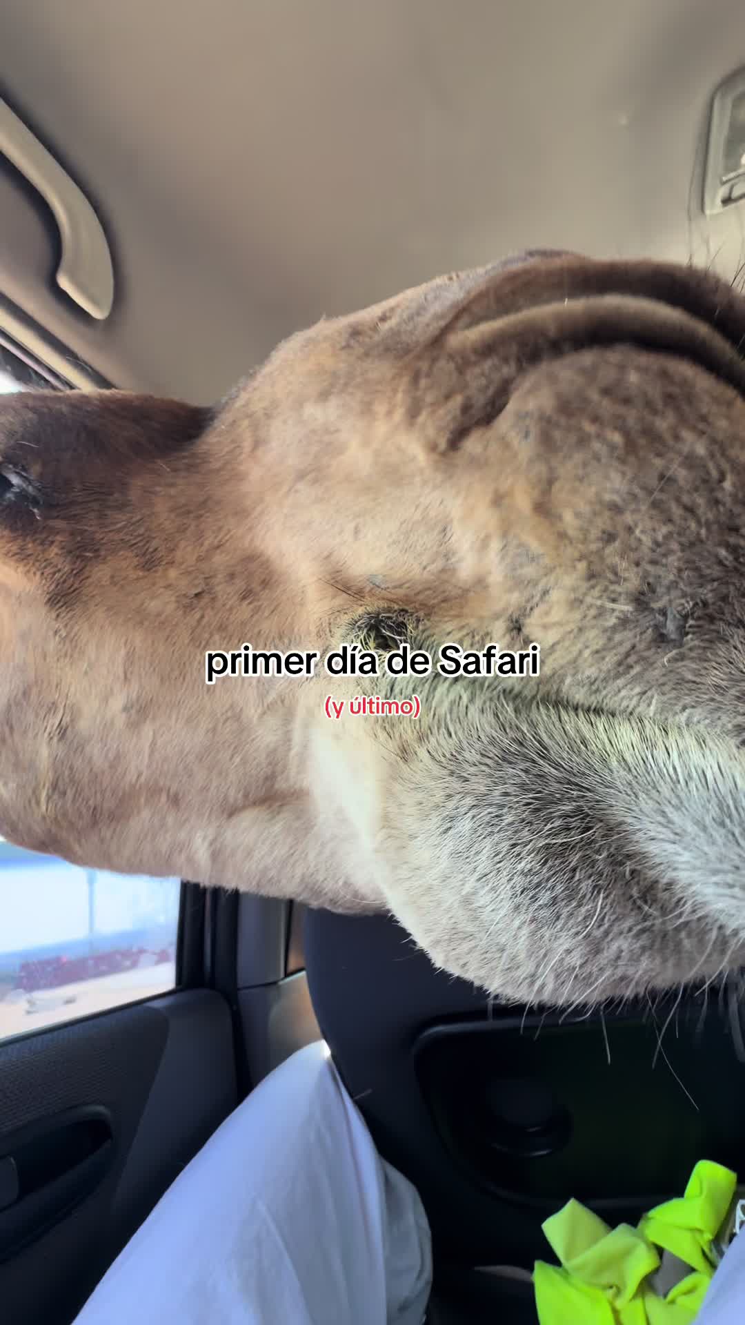 @luchiiii