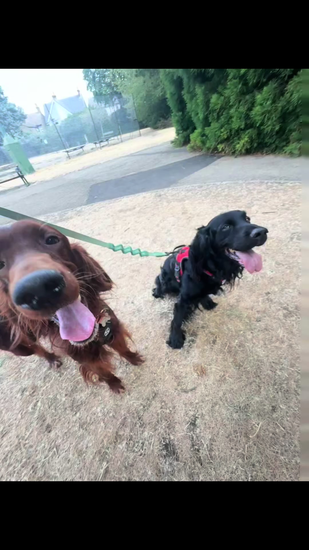 @tswoofwoof.co.uk