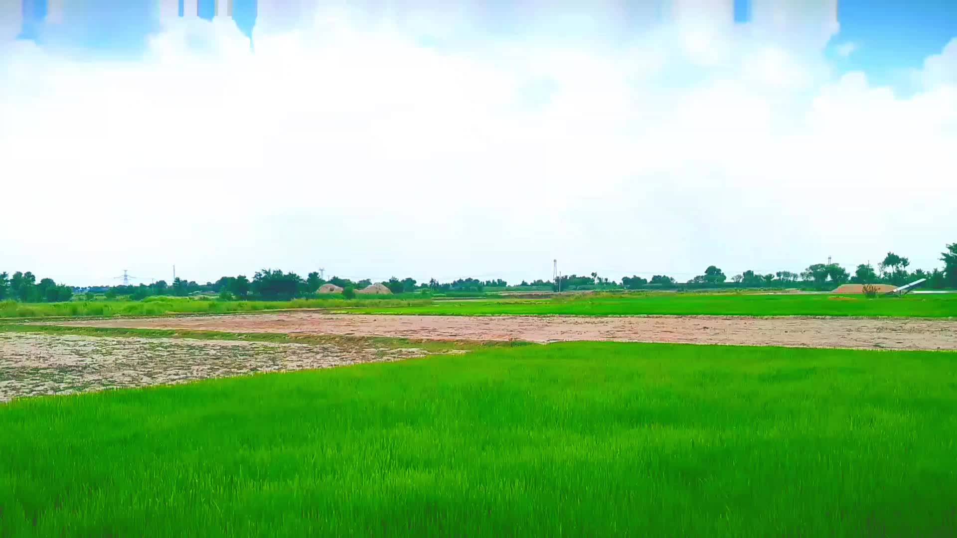 @💸 عمران خان 💸