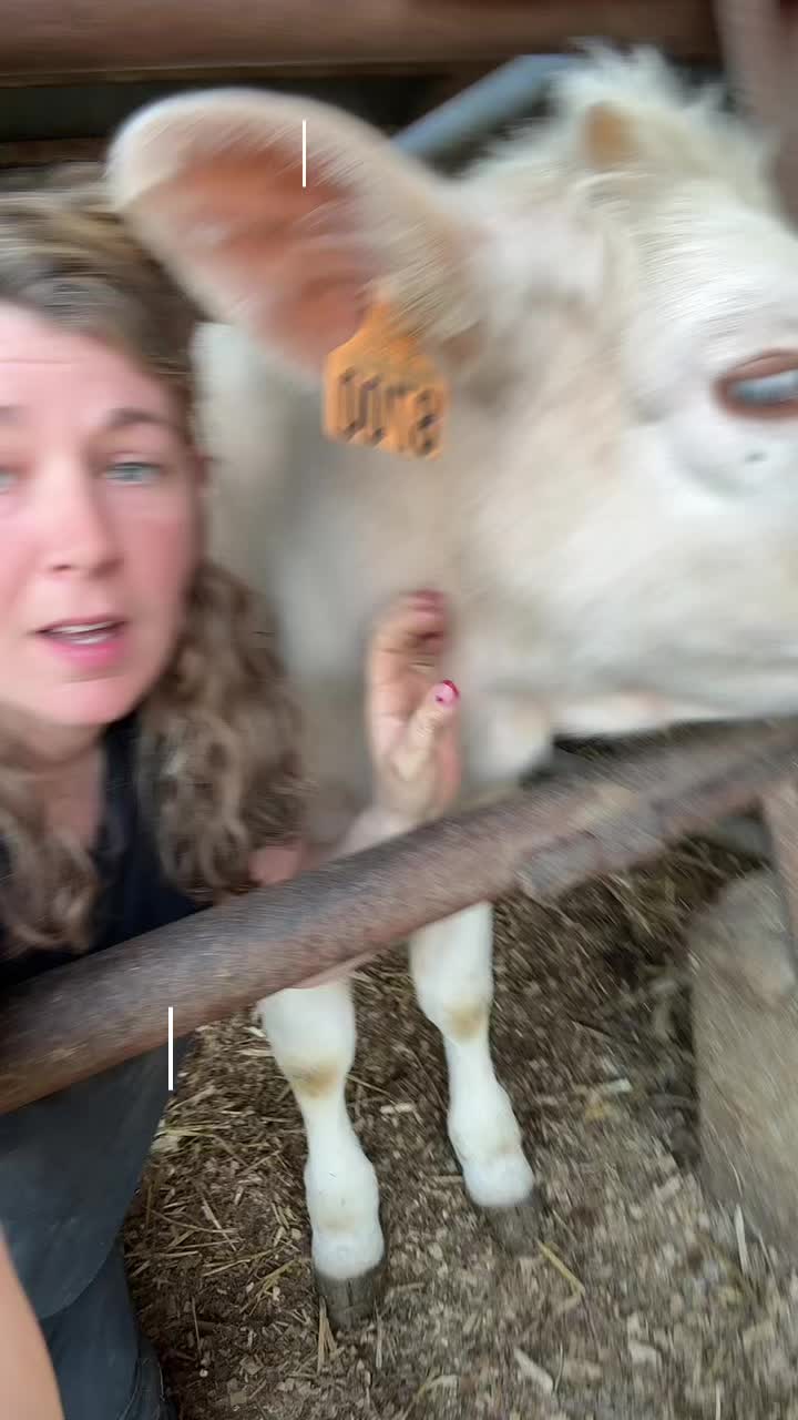 @ᏦᎥᎥᏦᏗᏗ 🌾🚜🐮
