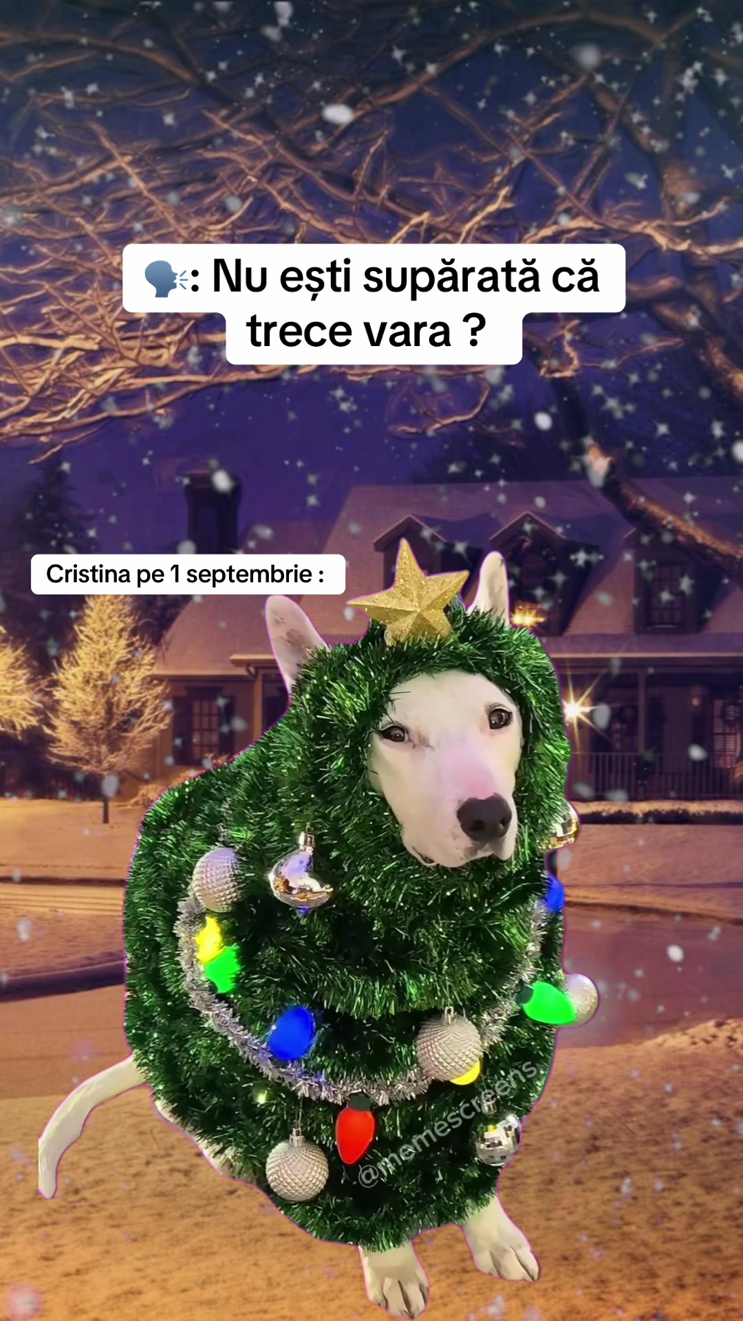 @cris_tinaa12