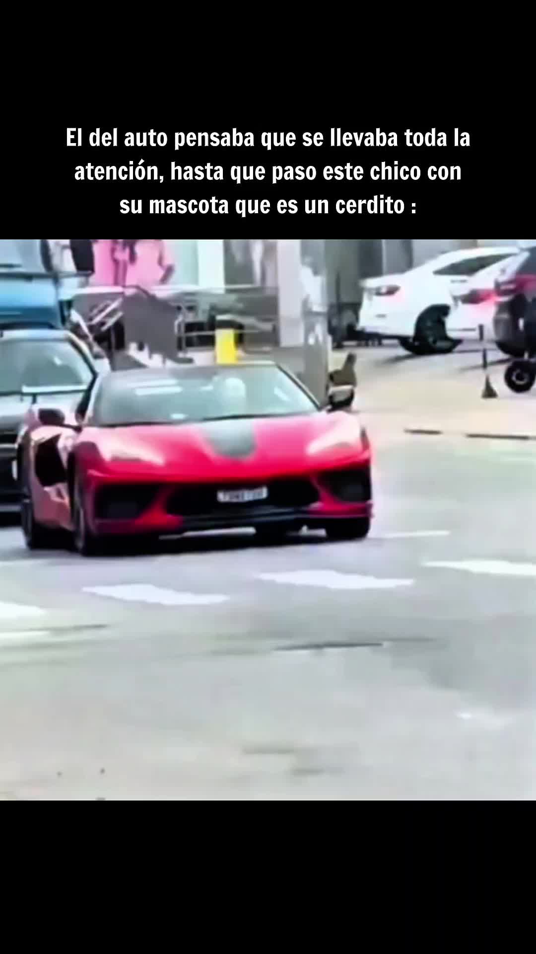 @incivilizao