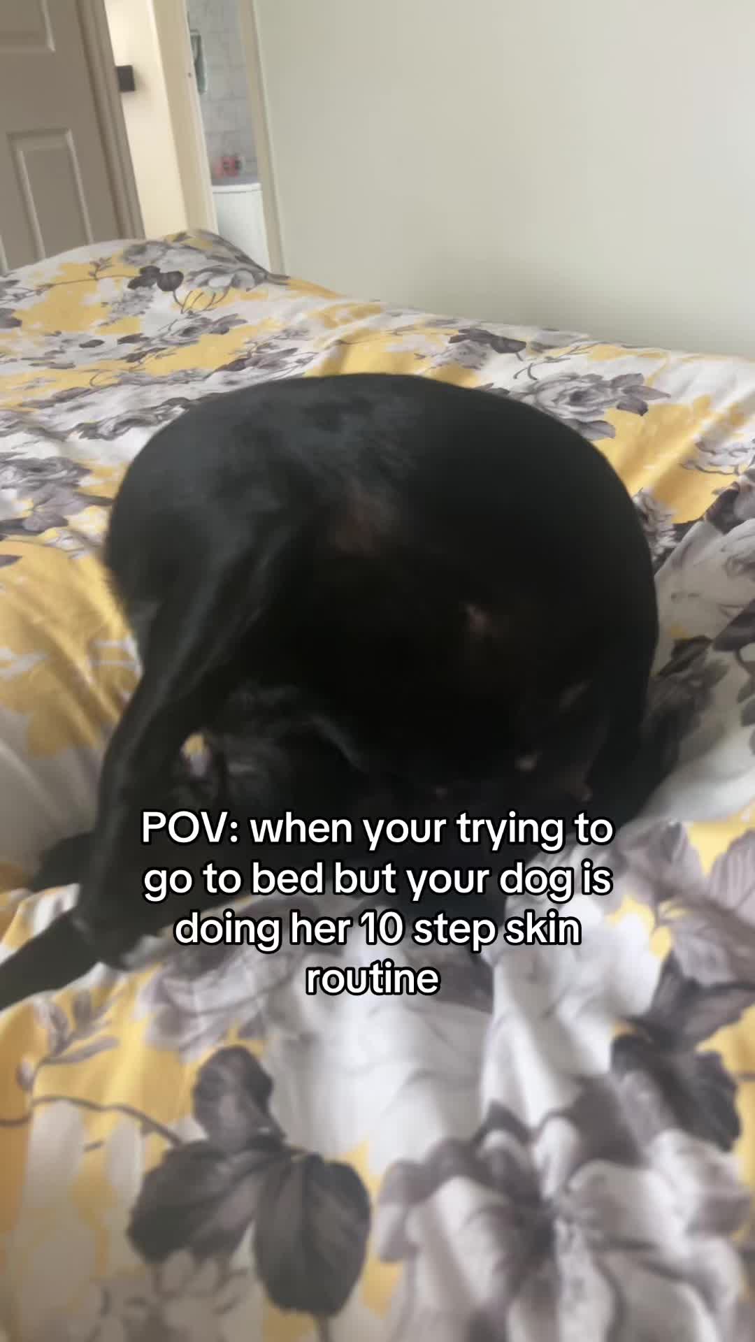 @Zoe ❤️❤️❤️