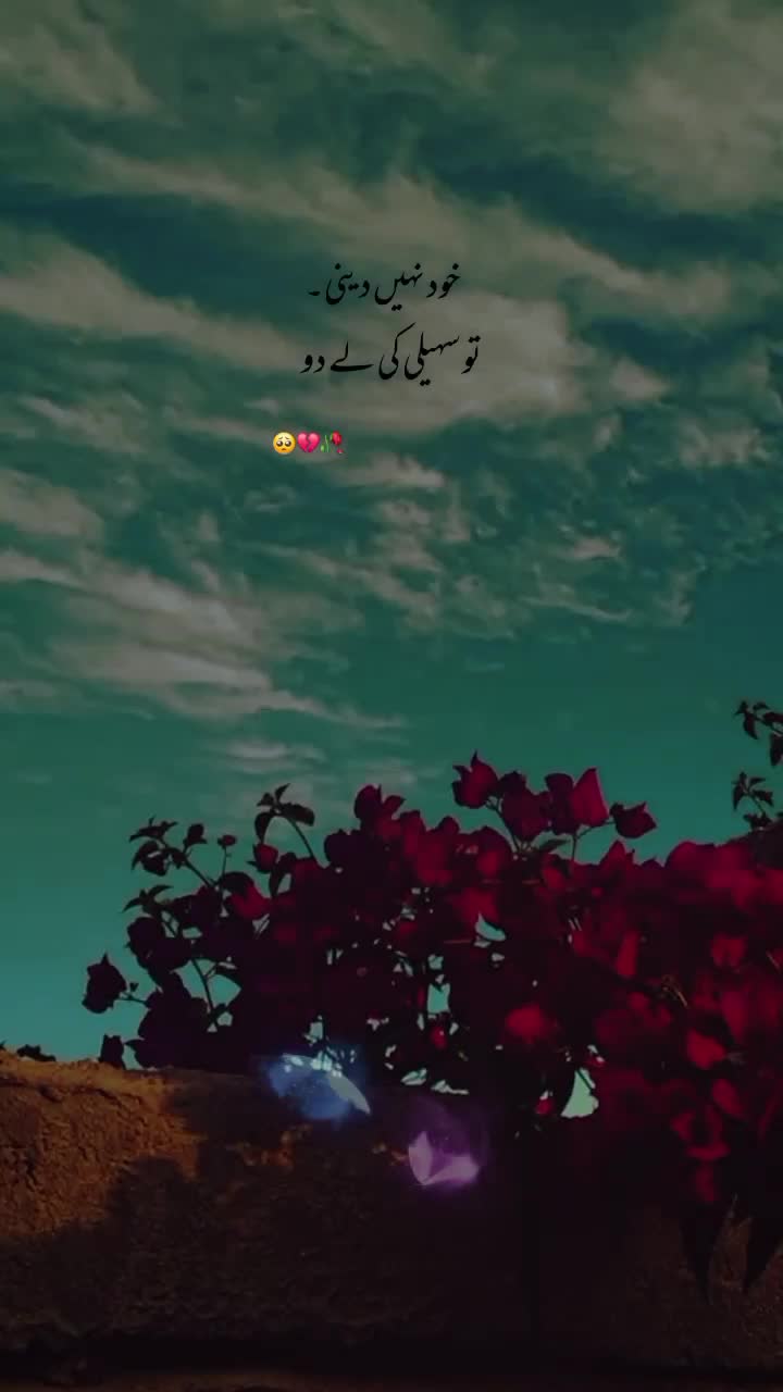 @NOOR 𔘓 / 🫥
