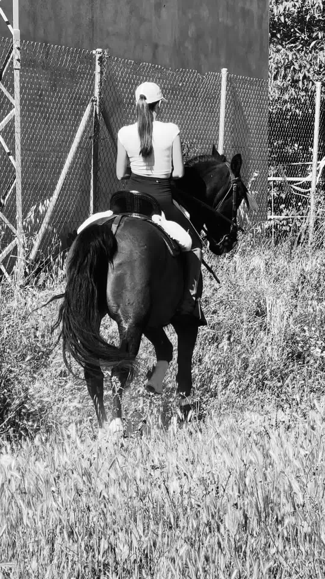 @Sandra Molina🐎🇪🇸