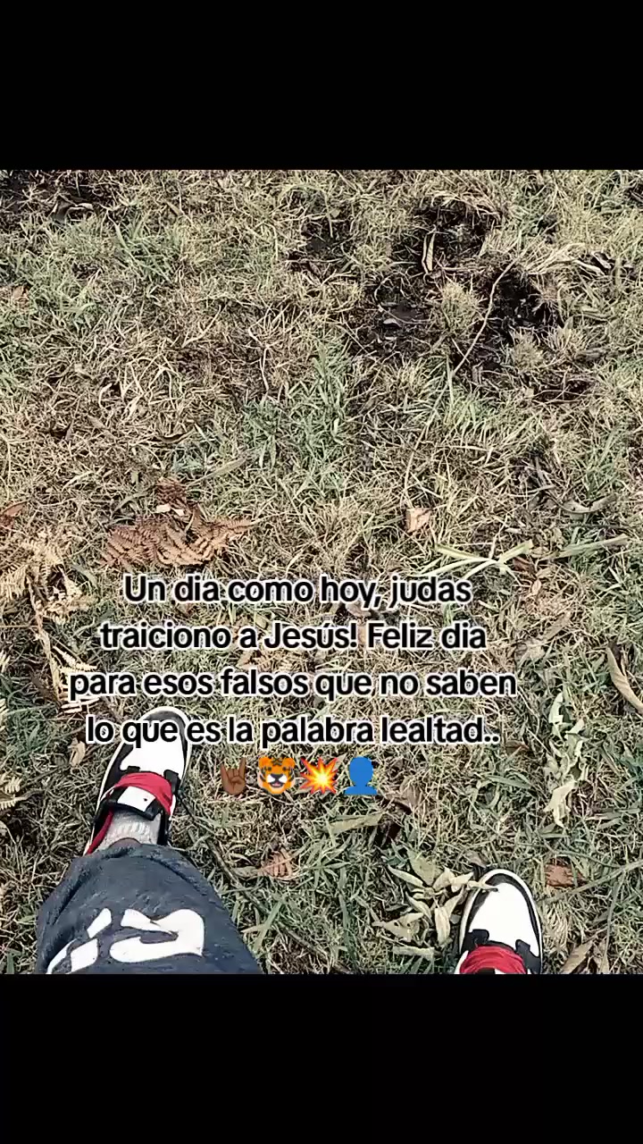 @EL GORDITO JR✨🍁