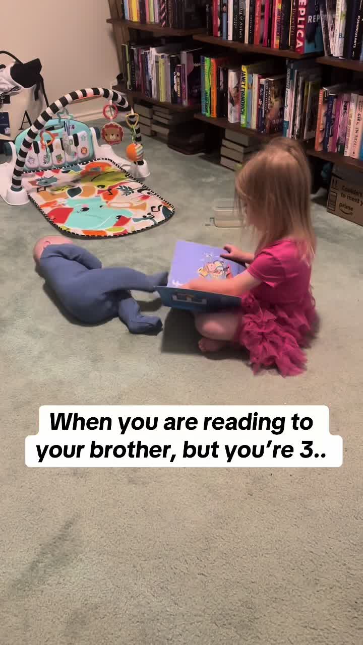 @ambrr