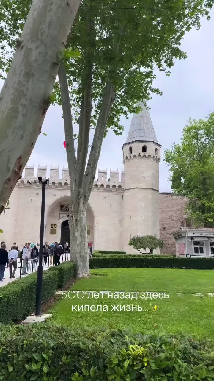 @Alla 🌸