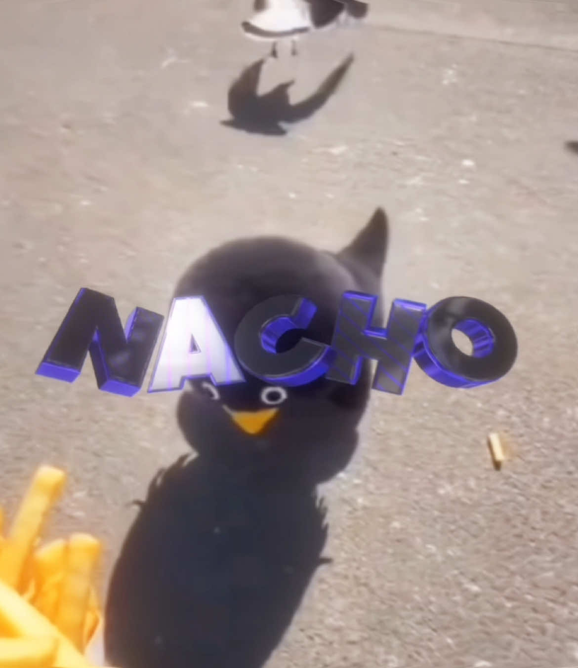 @𝙉𝙖𝙘𝙝𝙤ᴇᴅɪᴛs