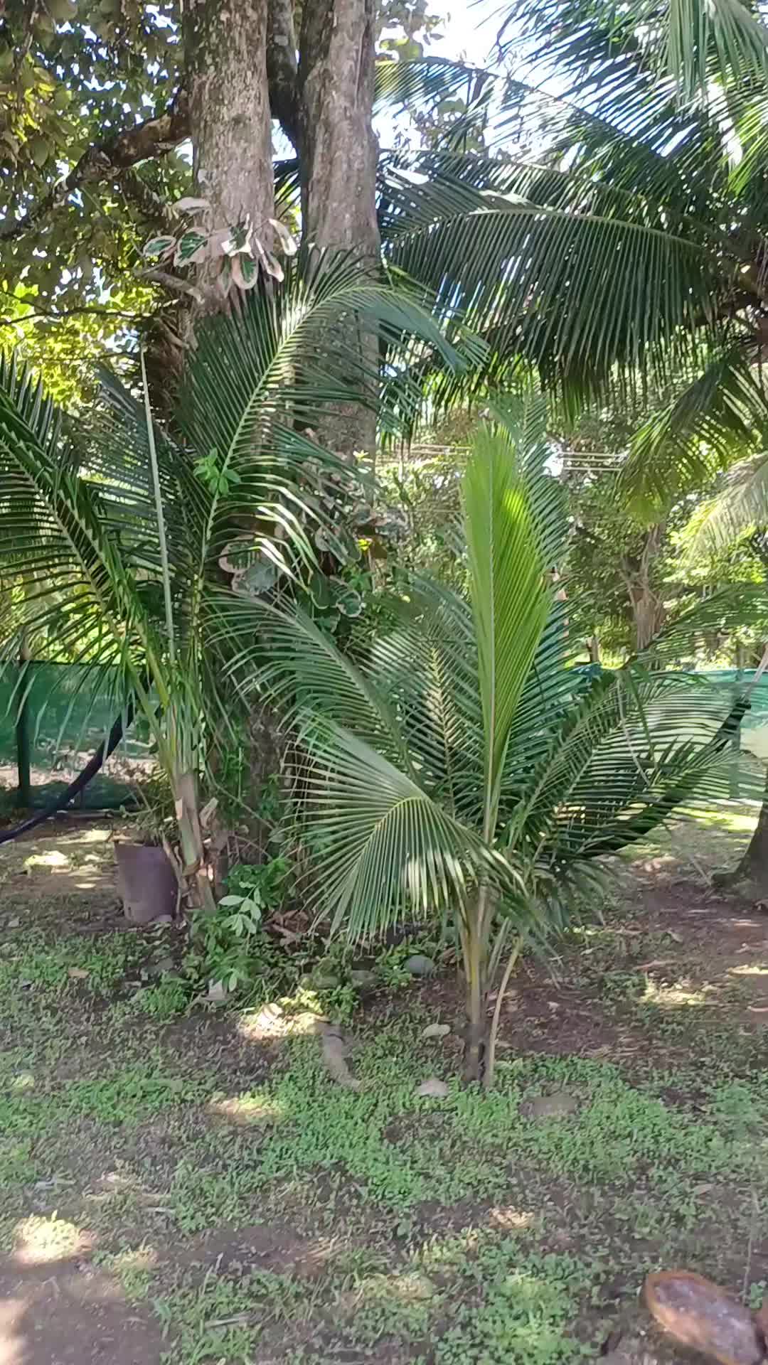 @casaveraplayarein