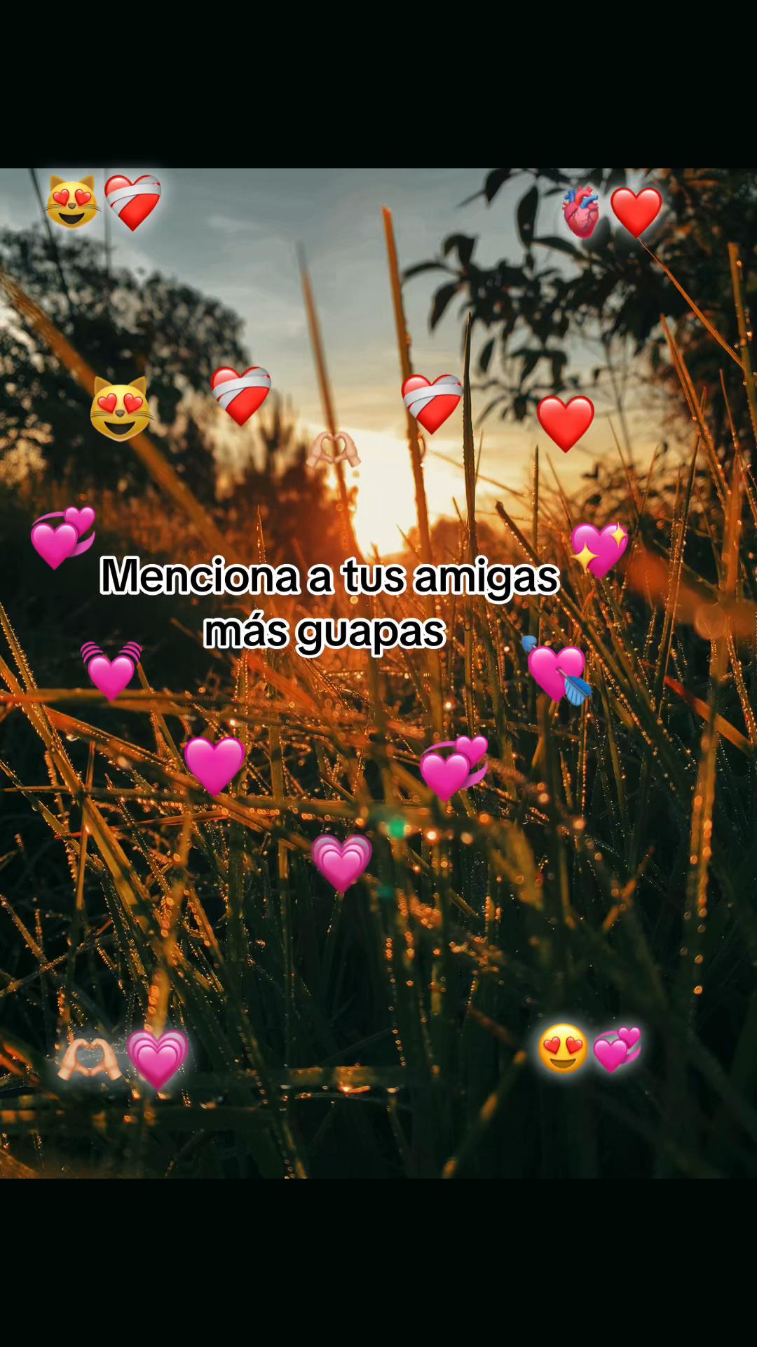 @B❤️&zwj;🩹🫶🏻FRASES✨😍&Scaron;