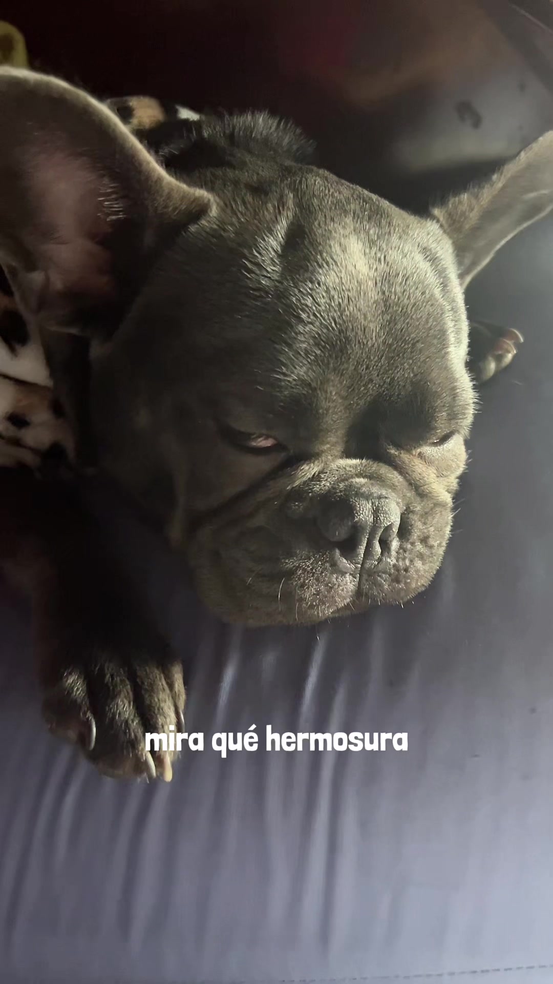 @Roxana