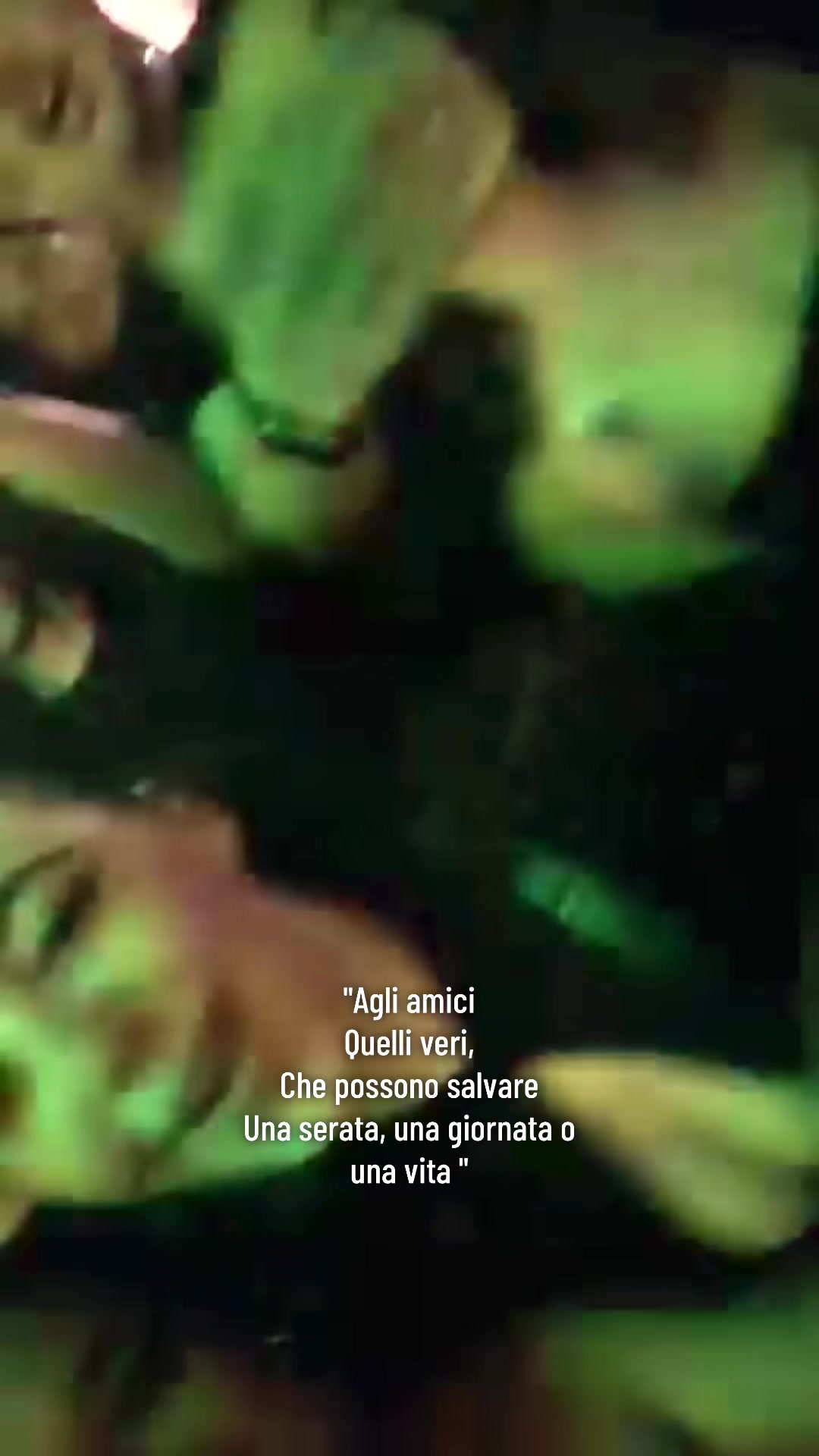@susypirozzi_