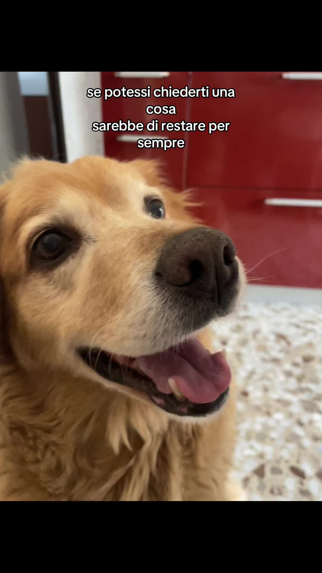 @domi_00