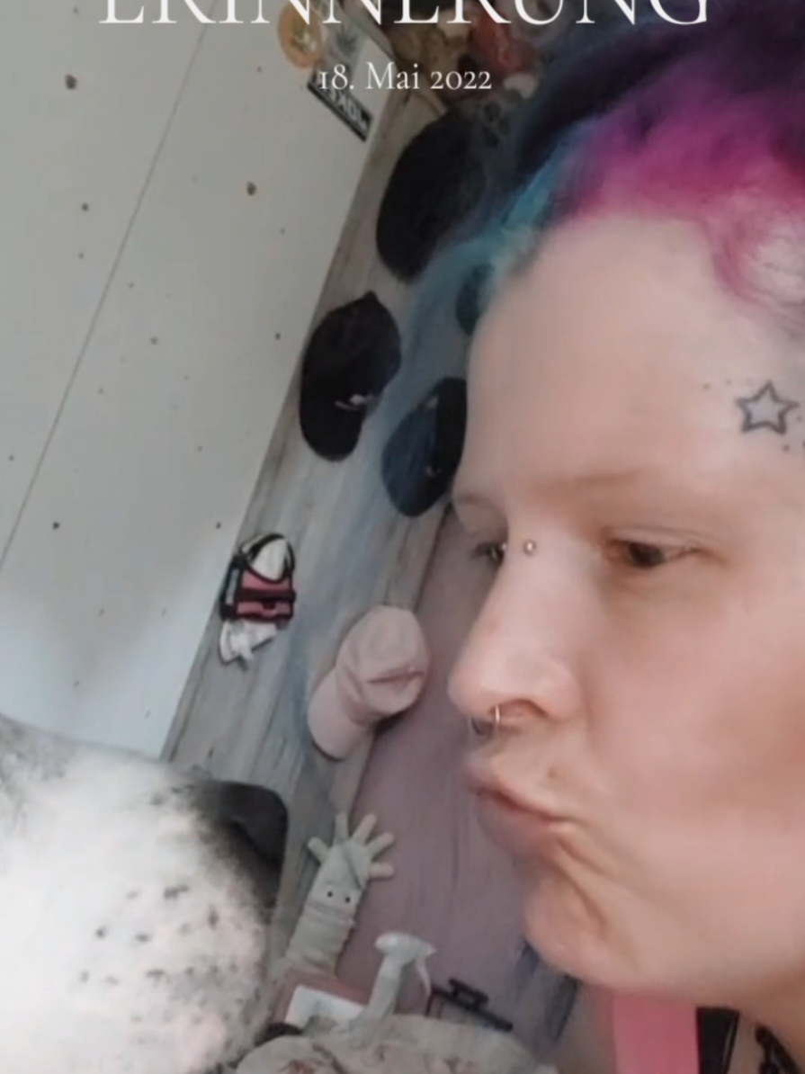 @chaosjenny🥰🤪