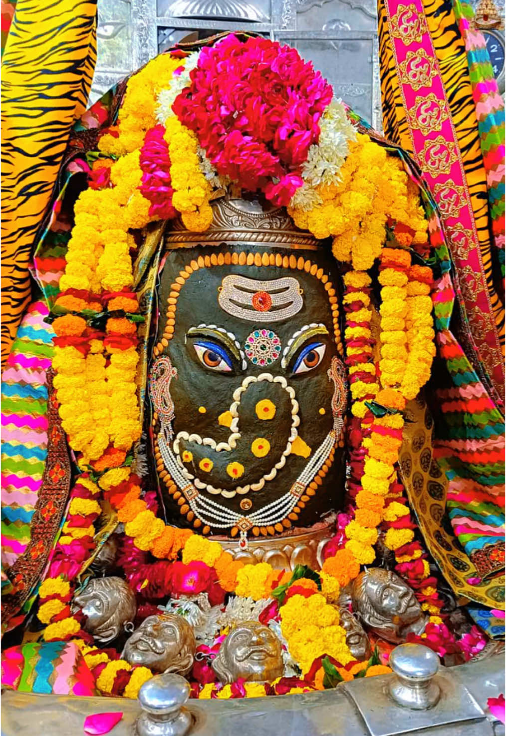 @Mahakal ko Bhakta🙏🙏🔱❤️🕉️