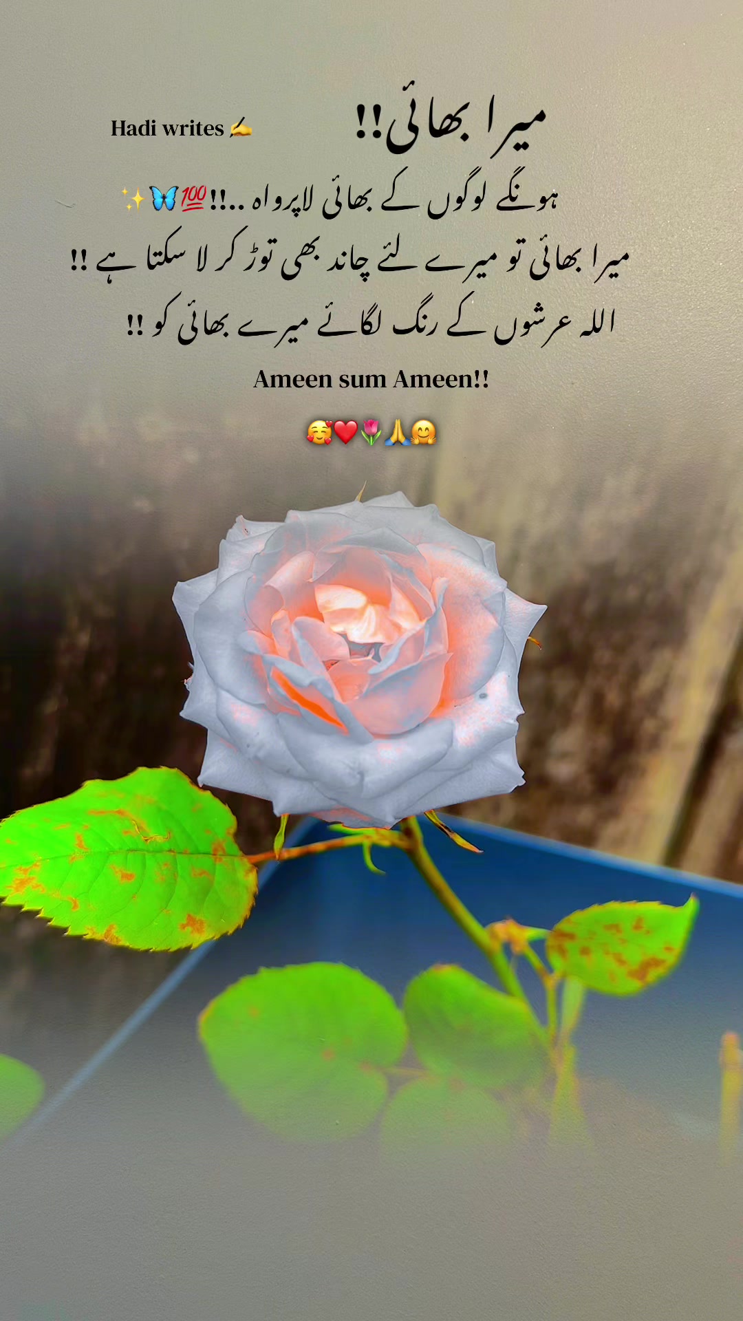 @Bhai Behen Quotes ✍️🥰🙏