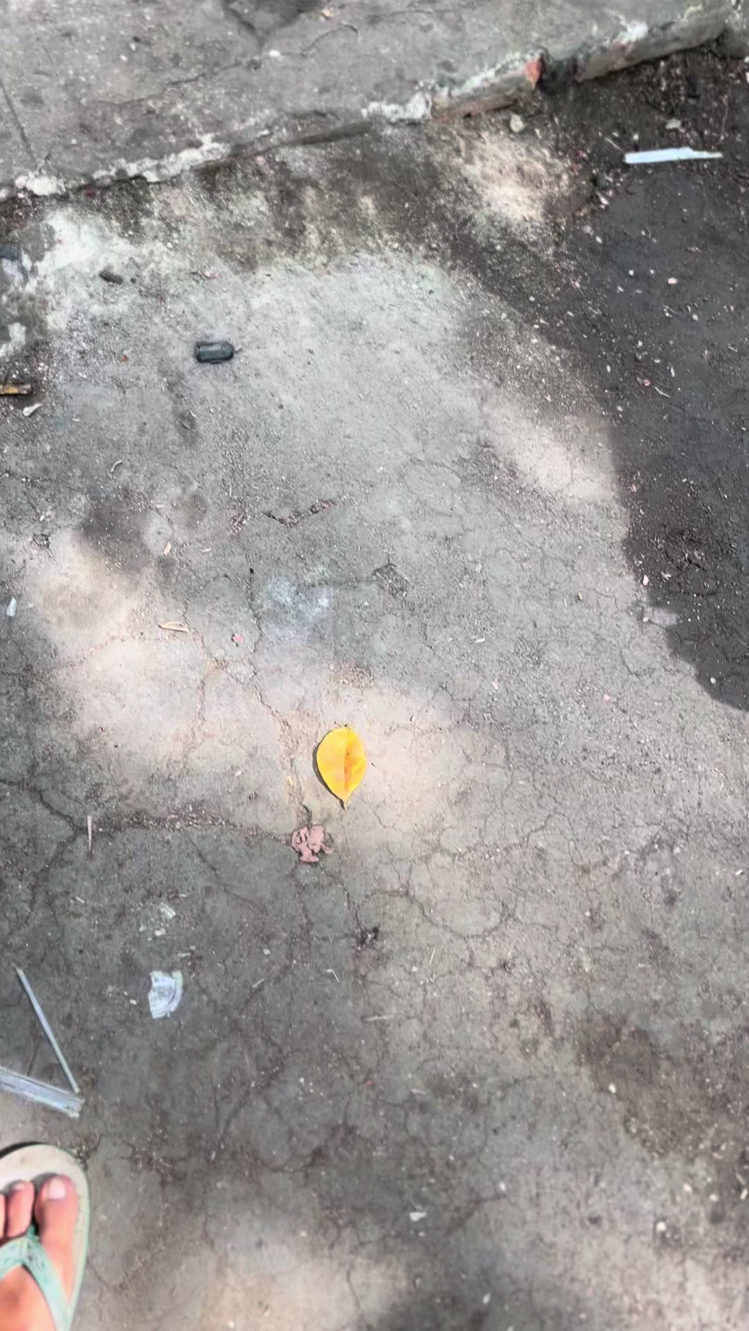 @varsti