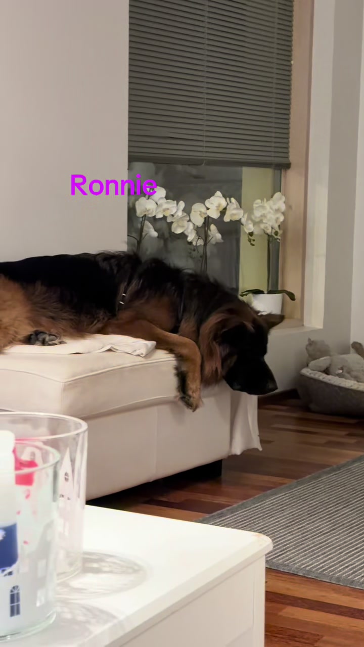 @Ronnie