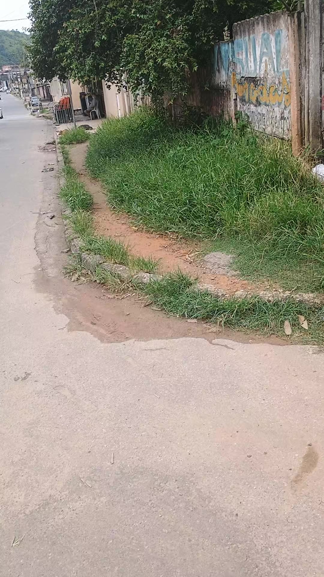 @socram_leo