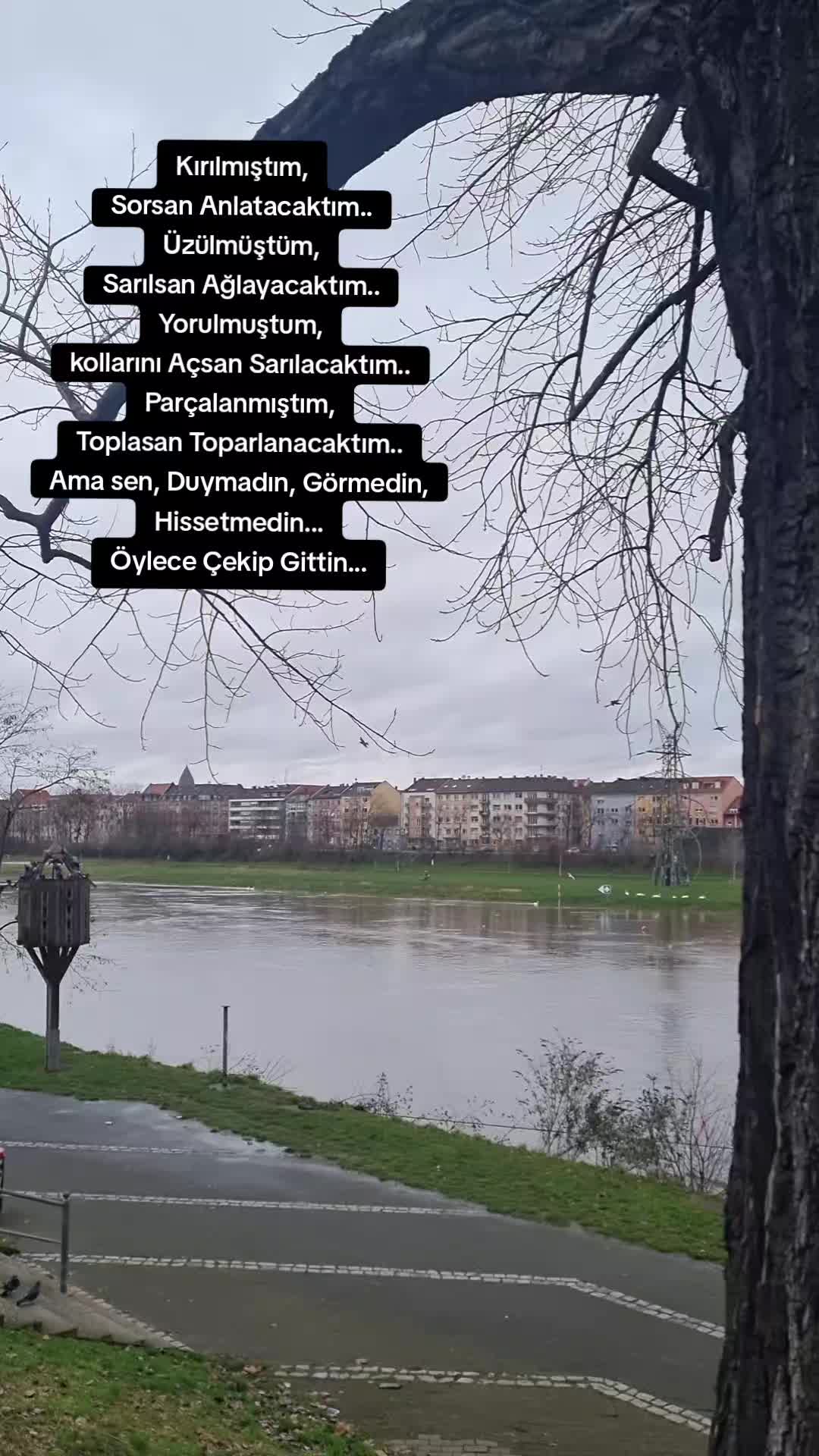 @Ay__nature