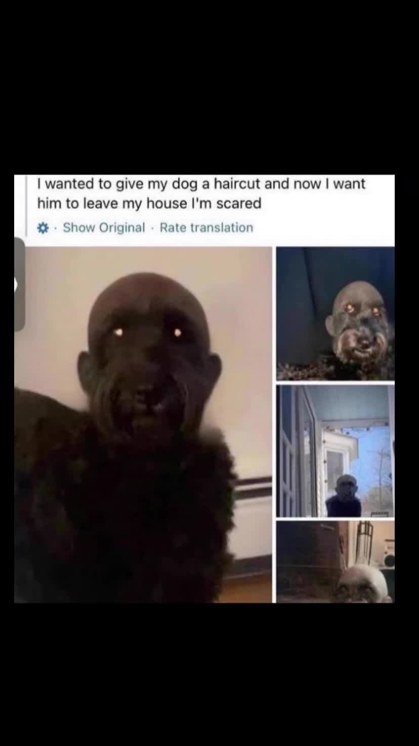 @Flexicutioner