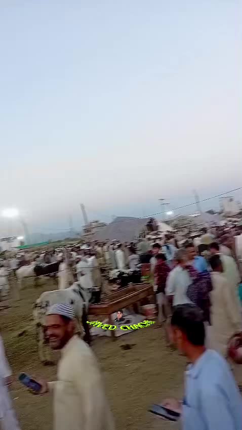 @جاويد چهـاچهـى
