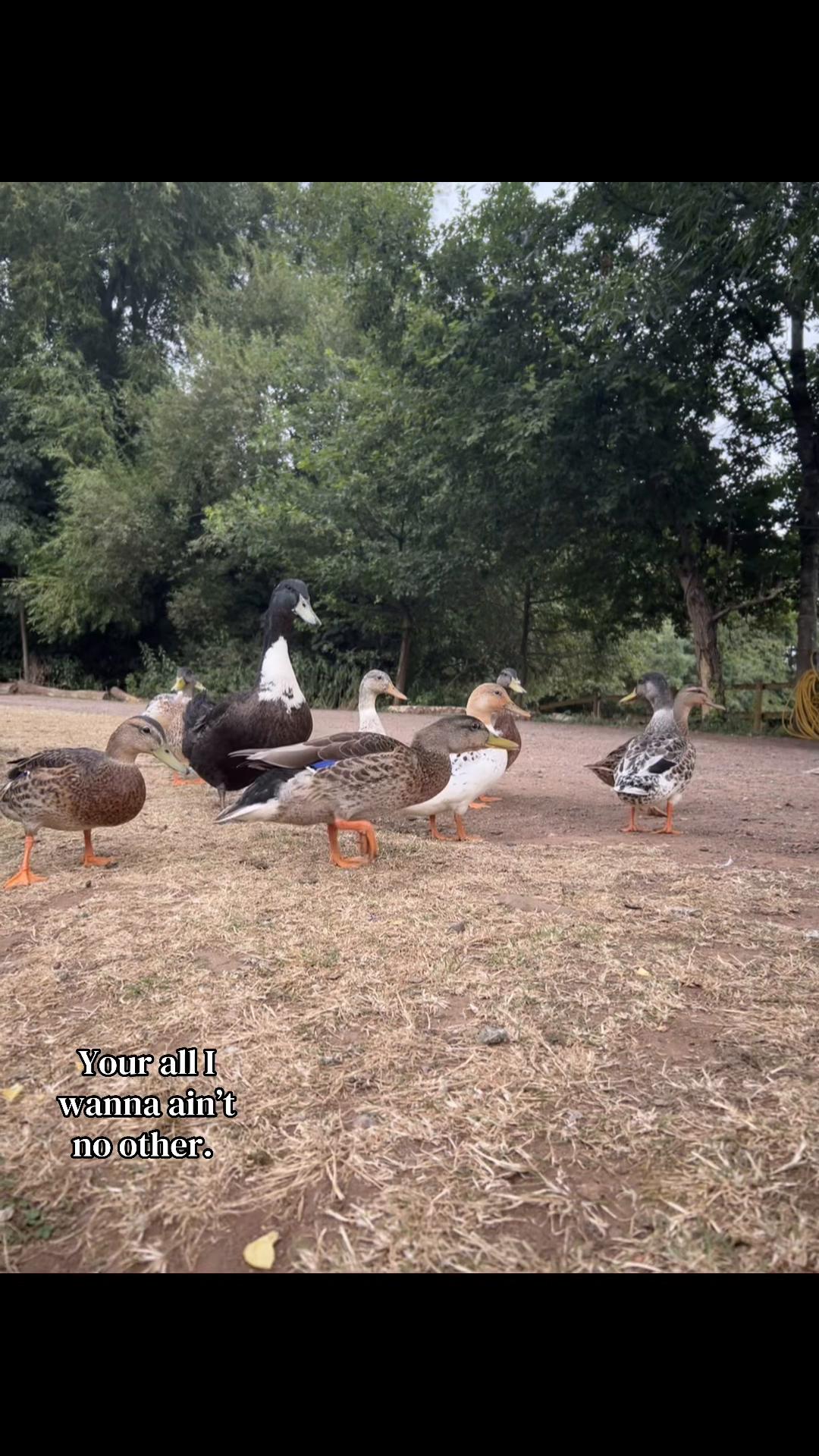 @ℳ𝒾𝒶🩵