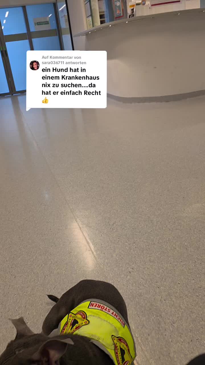 @Zara Alukanija Kiyomi 🐕🐾