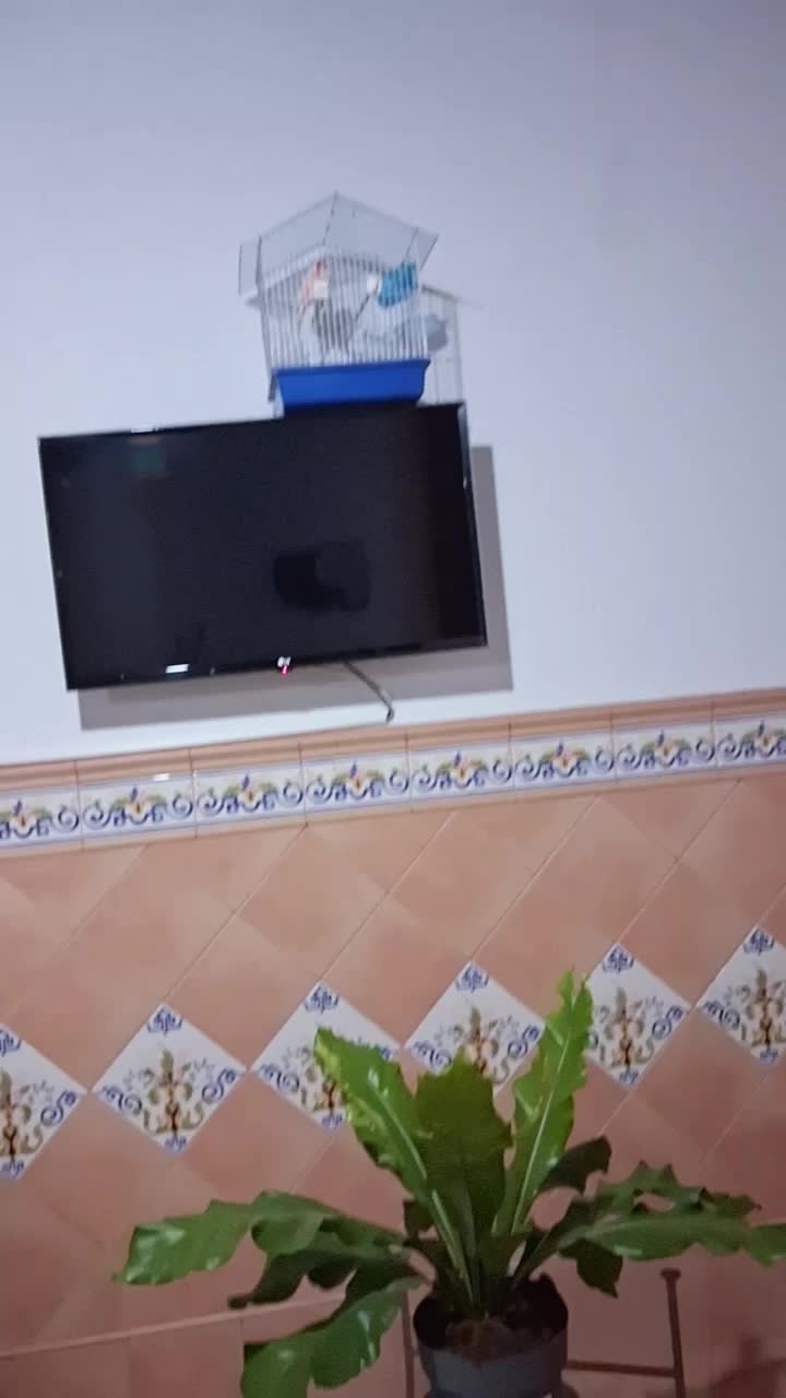 @malak sriwr