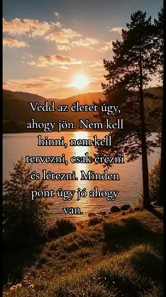 @@ meszi68