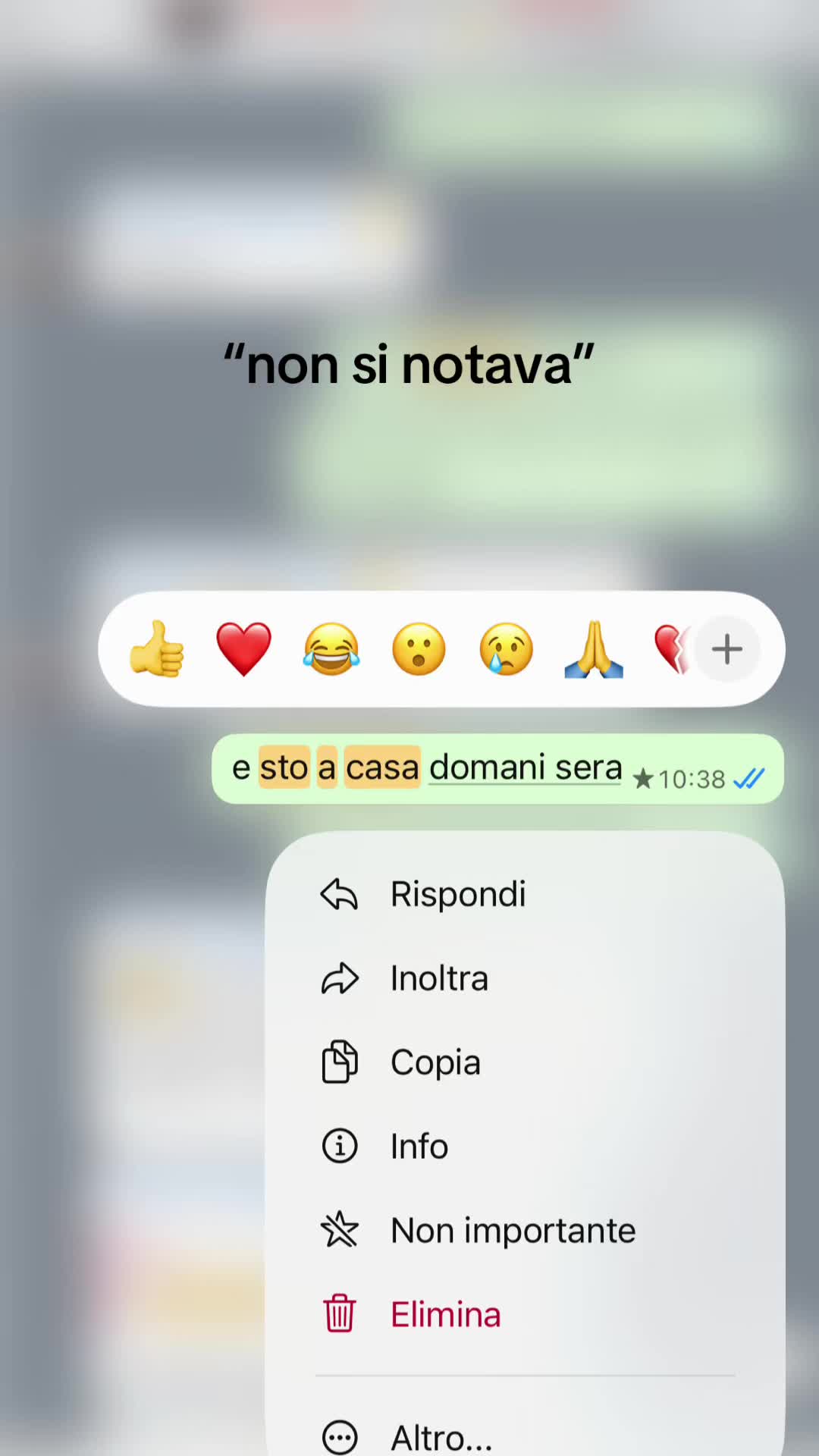 @priivv.mn