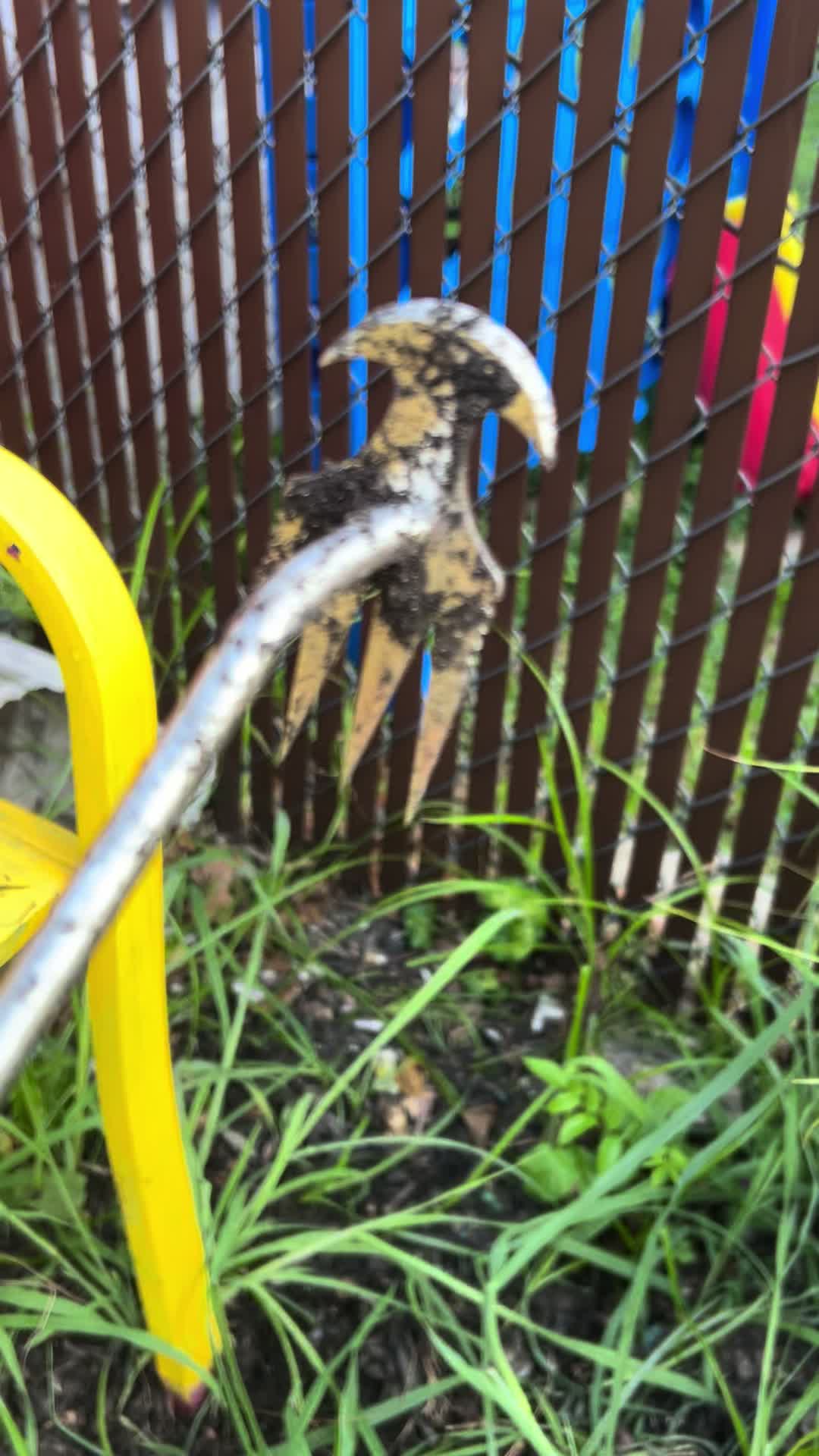 @jojo&hearts;️autism💚garden💙dogmom