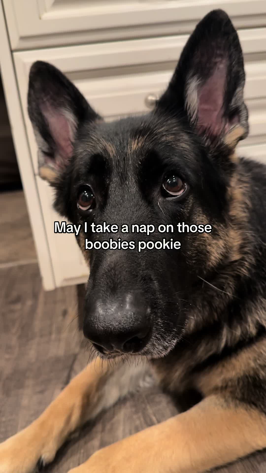 @Bhris