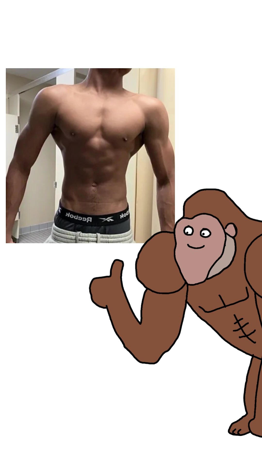 @gympanzee