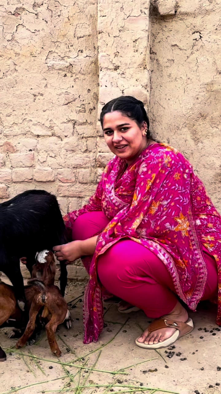 @Punjabi Bulbul Aliza Sehar