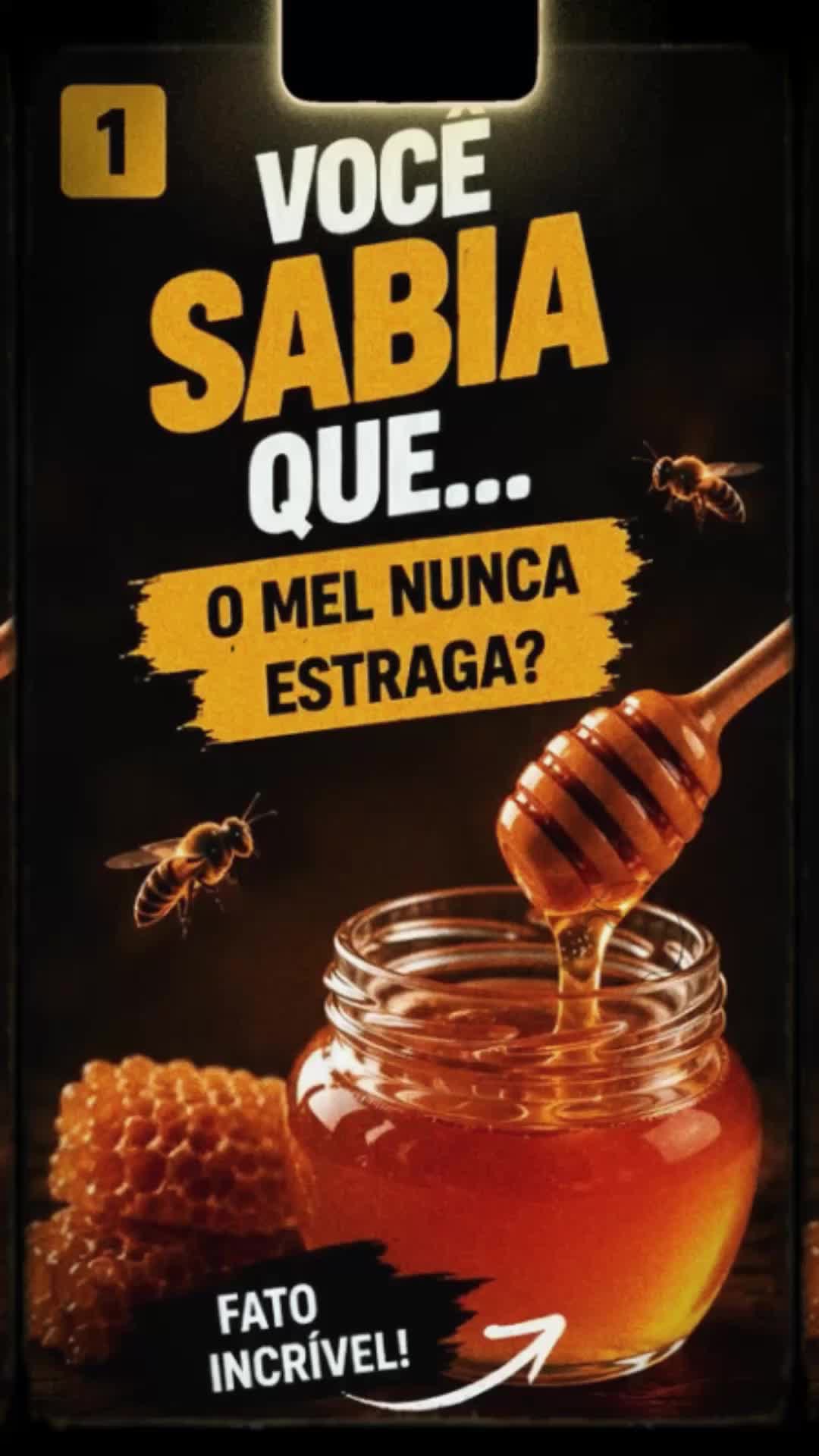 @Você Sabia?