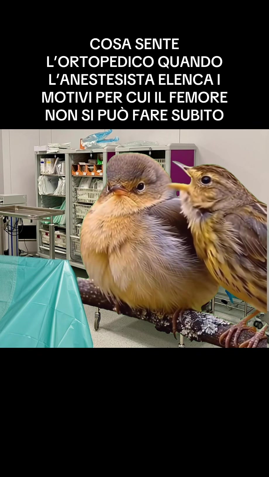 @Icumeme