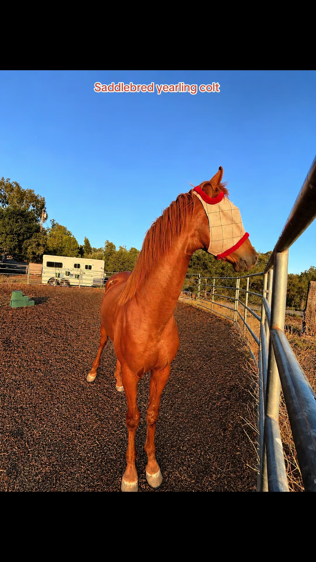 @BoeRanch14