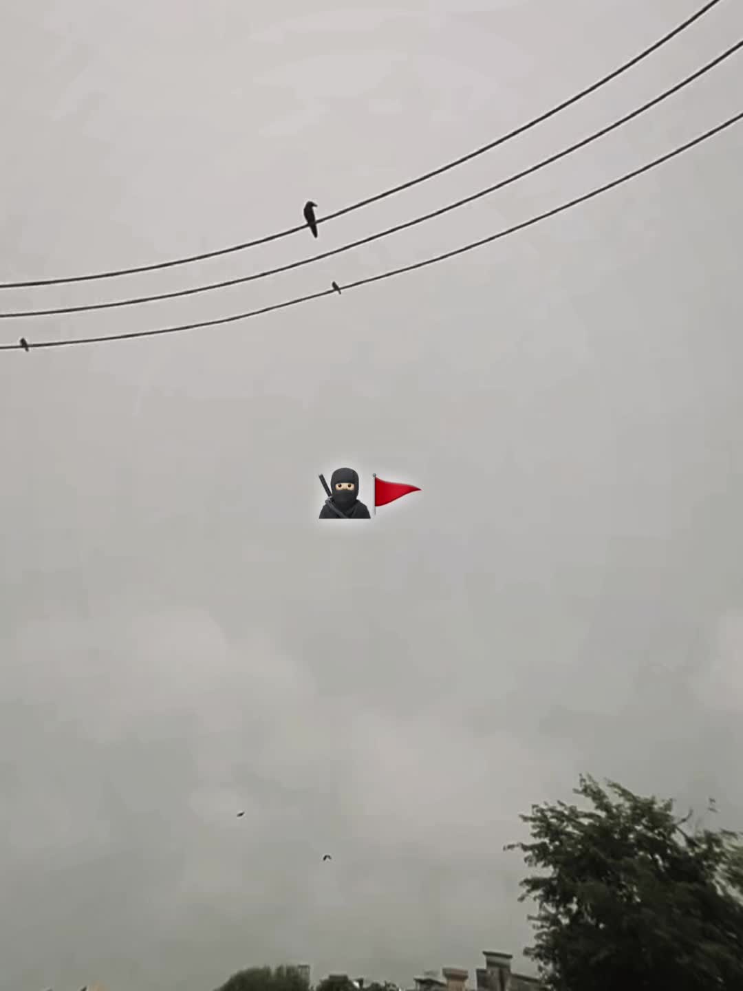 @ARAYAIN