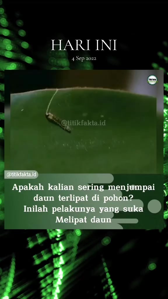 @Titik Facts