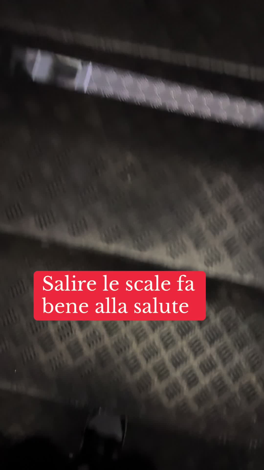 @Ilaria Vitolo