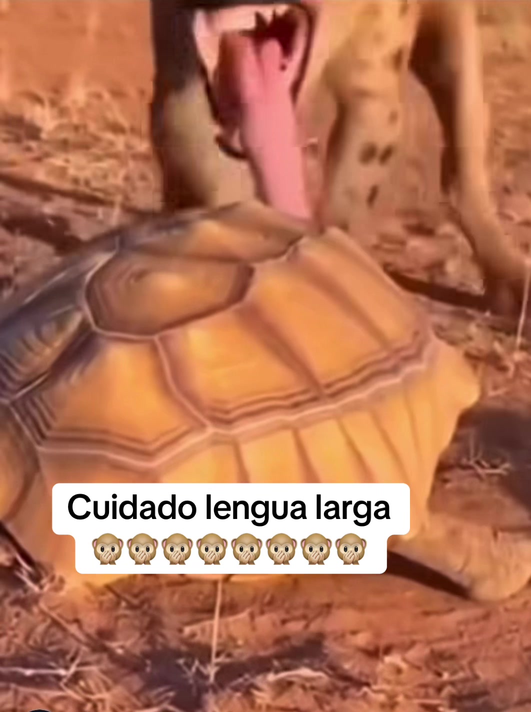 @Yo Soy Willy🇬🇹🇺🇸