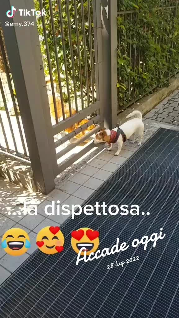 @❤️il solitario❤️