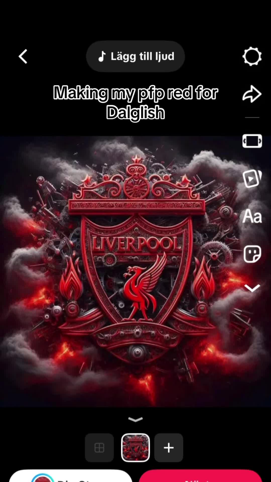 @lfc_editor17