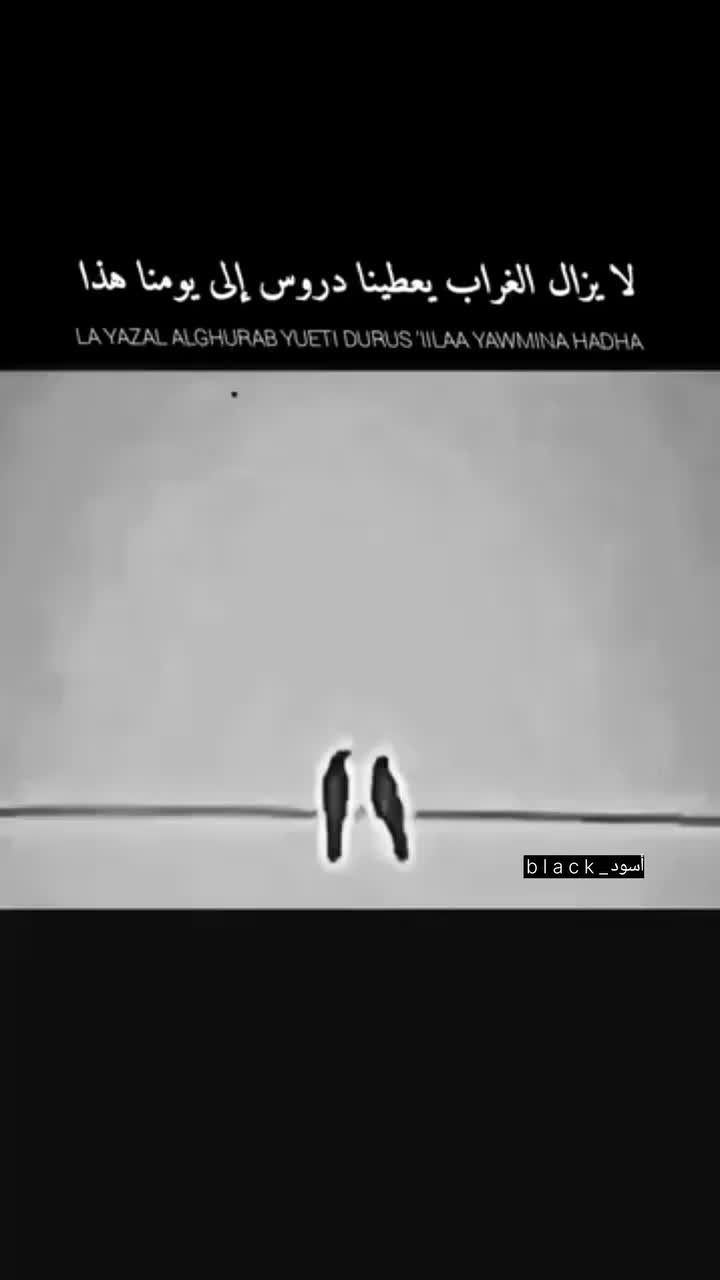 @السومري حفيد اعظم ملوك الارض